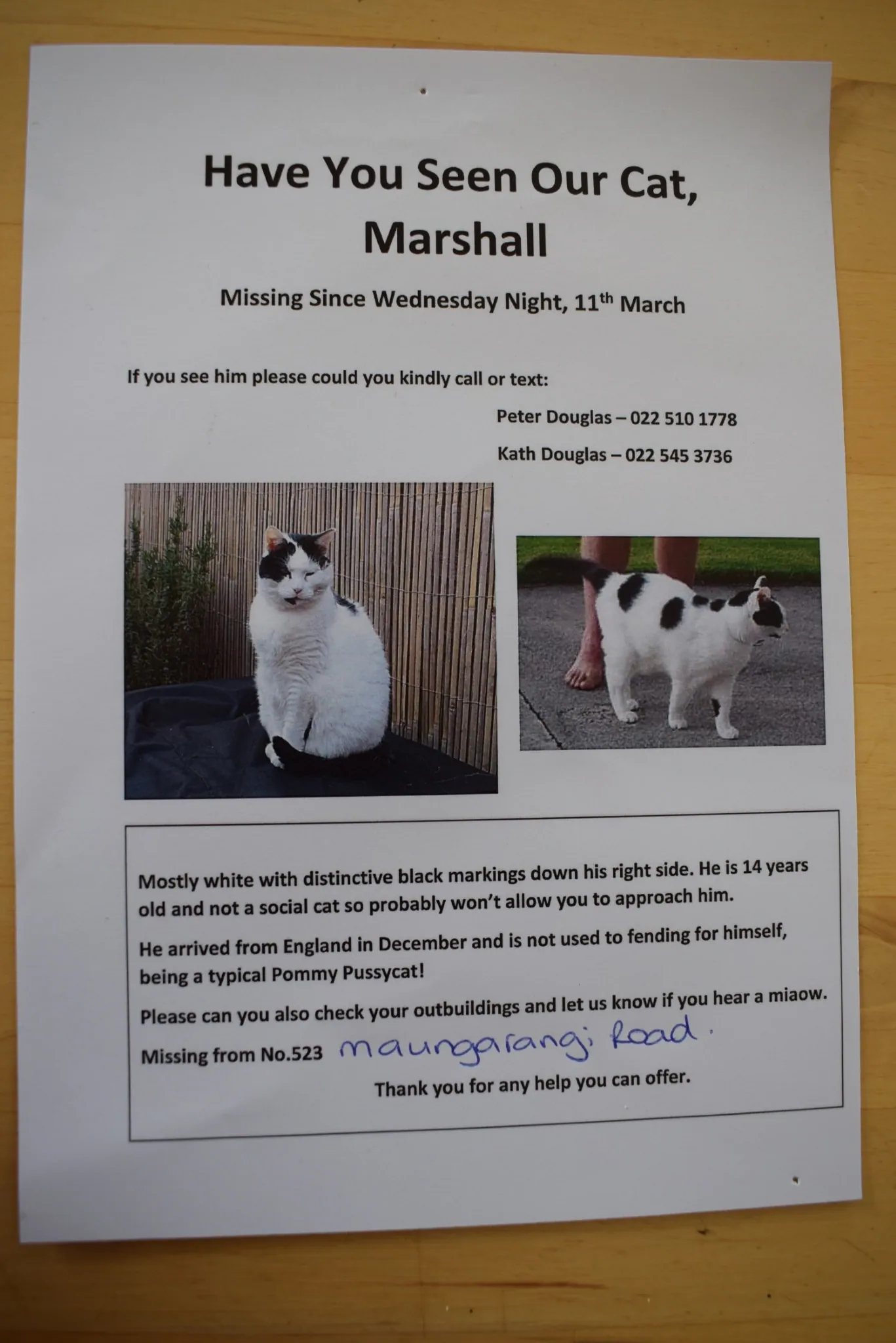 D12 marshall   last seen 3am when let out 12 apr 2018